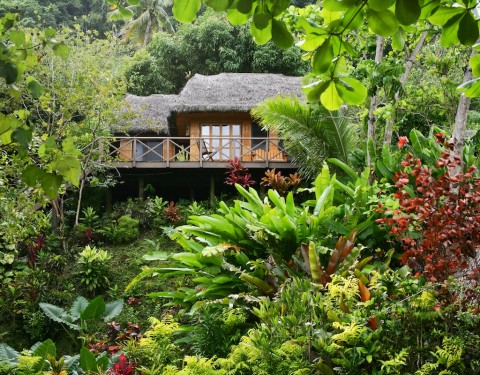 Fiji Island Vacations and Honeymoons